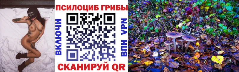 где продают   Чехов  Галлюциногенные грибы Psilocybine cubensis 